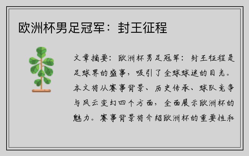 欧洲杯男足冠军：封王征程